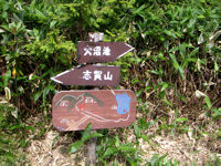 志賀山と大沼池の分岐