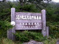 湯ノ丸高峯自然休養林
